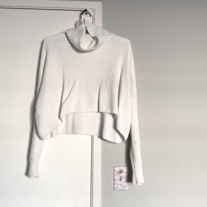 Hollister Cropped turtle neck